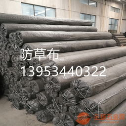 壽光蔬菜大棚100克防草布廠家